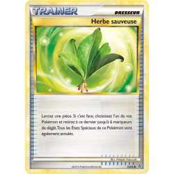 Herbe sauveuse UL - 79/95