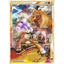 Entei & Raikou UL - 91/95