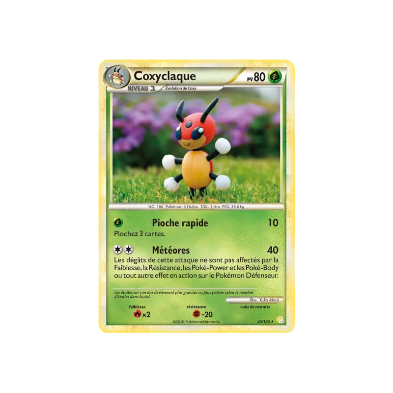 Coxyclaque HS - 025/123