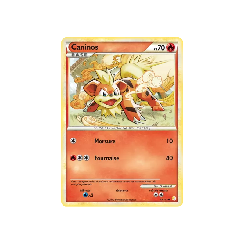 Caninos HS - 065/123