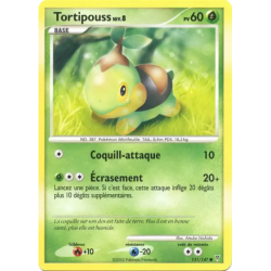 Tortipouss SV - 131/147