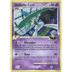 Gallame RR - 020/111