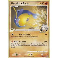 Barbicha RR - 054/111