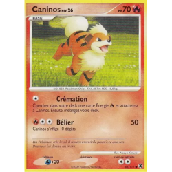 Caninos RR - 063/111
