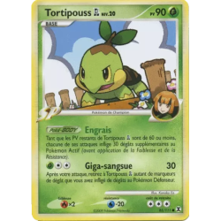 Tortipouss RR - 085/111