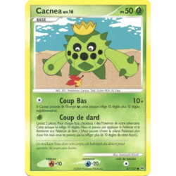 Cacnea PL - 067/127