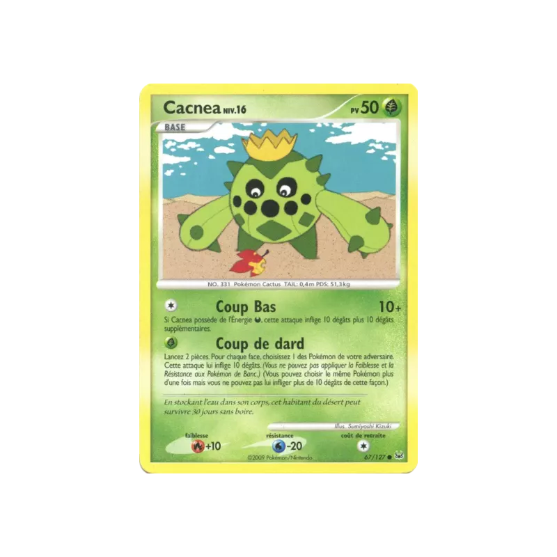 Cacnea PL - 067/127