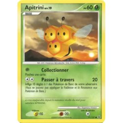 Apitrini PL - 071/127