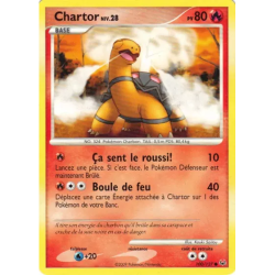 Chartor PL - 100/127