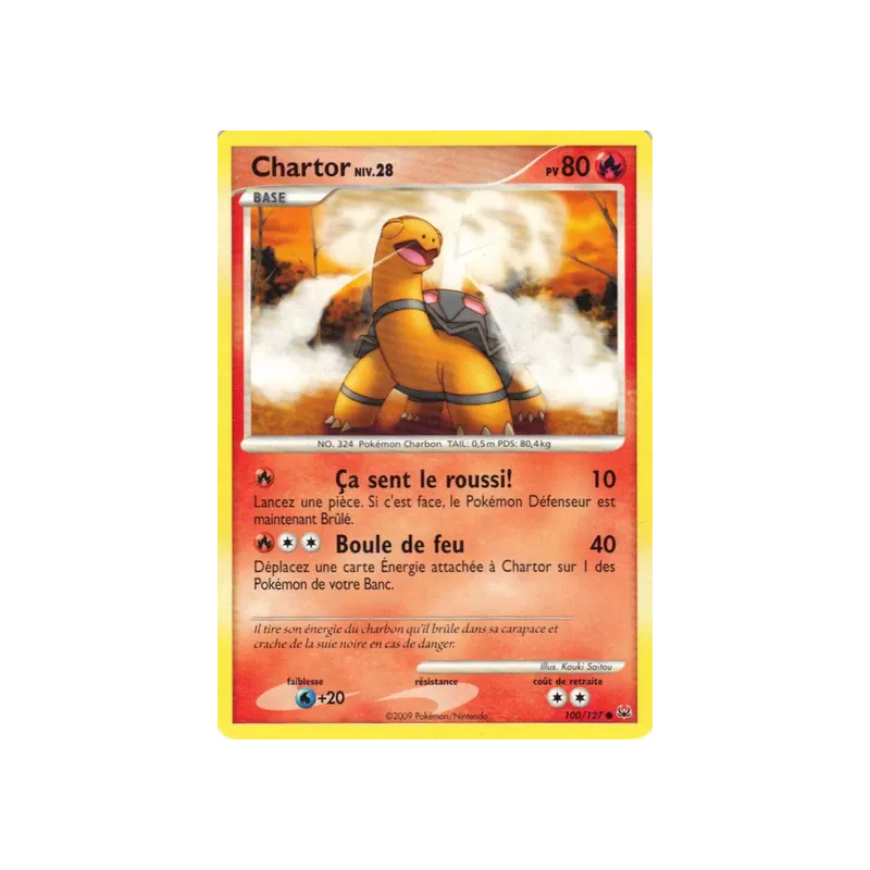 Chartor PL - 100/127