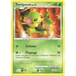 Tortipouss PL - 101/127