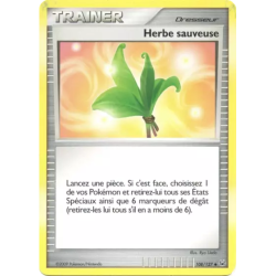 Herbe sauveuse PL - 108/127