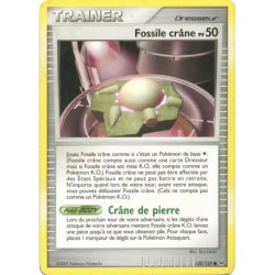 Fossile crâne PL - 120/127