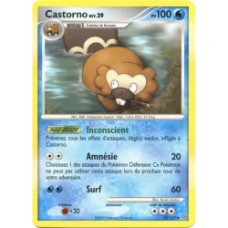 Castorno STF - 032/100