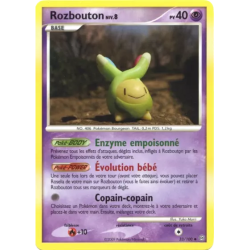 Rozbouton STF - 033/100