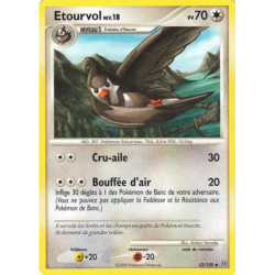 Etourvol STF - 052/100