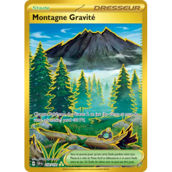 Montagne Gravité SSP - 250/191