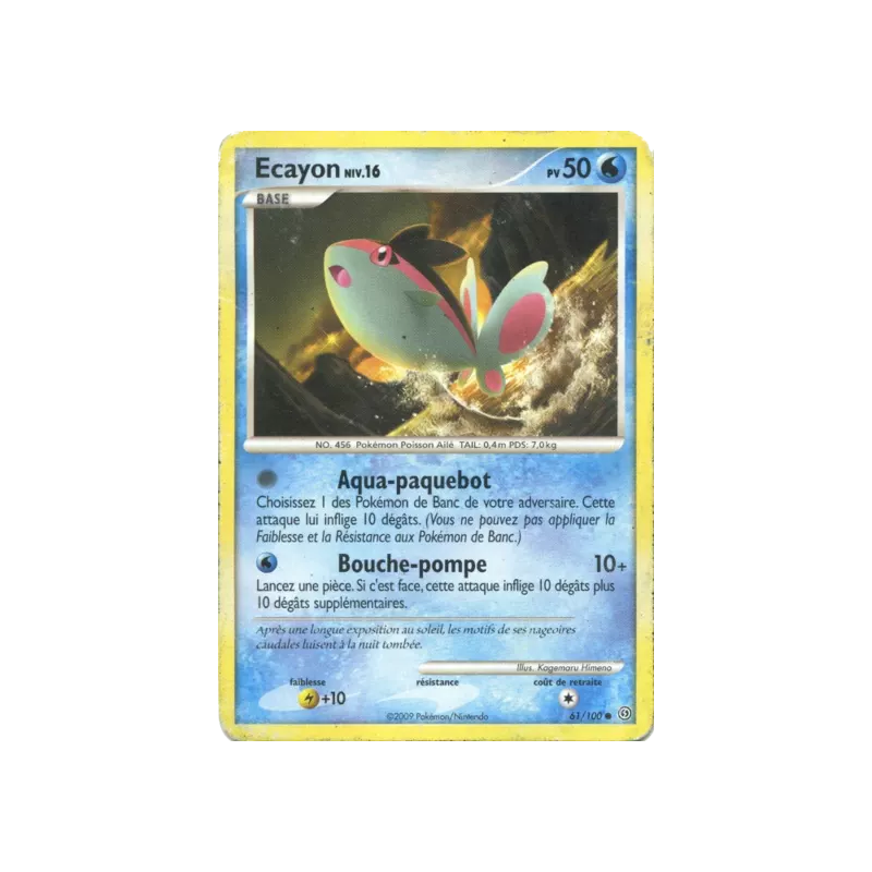 Ecayon STF - 061/100