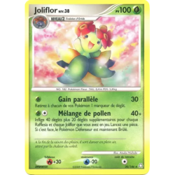 Joliflor LA - 020/146