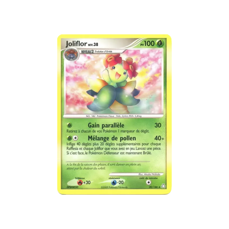 Joliflor LA - 020/146