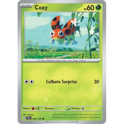Coxy SCR - 002/142