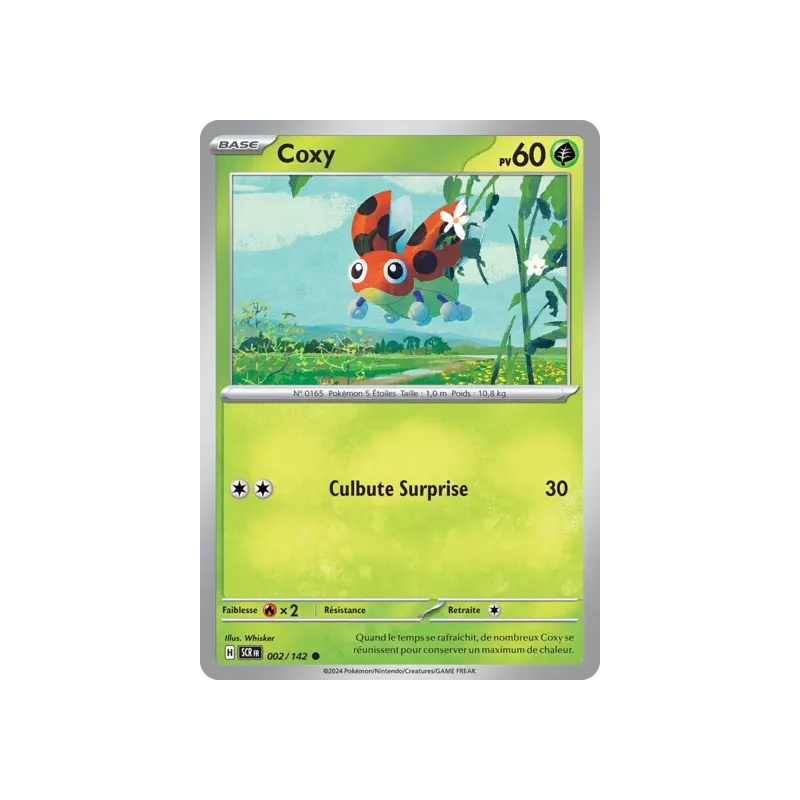 Coxy SCR - 002/142