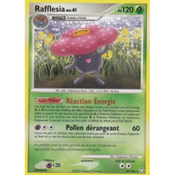 Rafflesia LA - 045/146