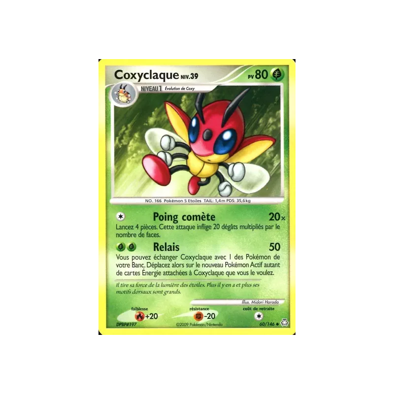 Coxyclaque LA - 060/146