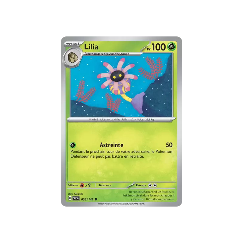 Lilia SCR - 005/142