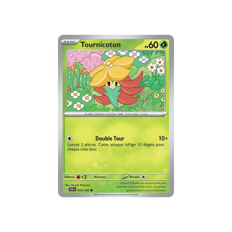 Tournicoton SCR - 010/142
