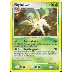 Phyllali MD - 007/100