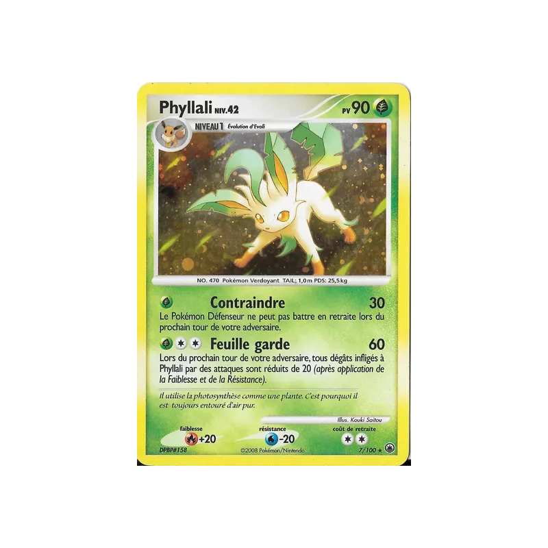 Phyllali MD - 007/100