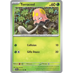 Terracool SCR - 017/142