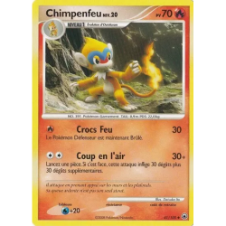 Chimpenfeu MD - 041/100