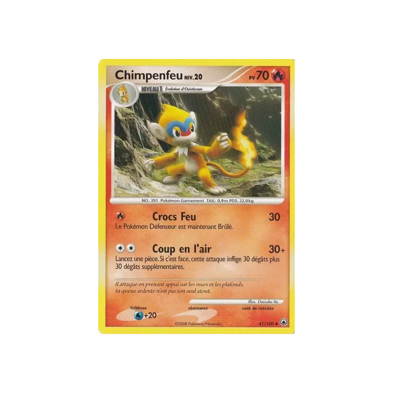 Chimpenfeu MD - 041/100