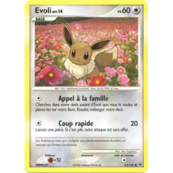 Evoli MD - 062/100