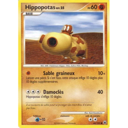 Hippopotas MD - 066/100