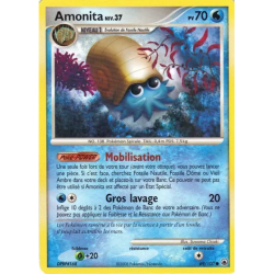 Amonita MD - 069/100