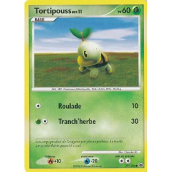 Tortipouss MD - 077/100