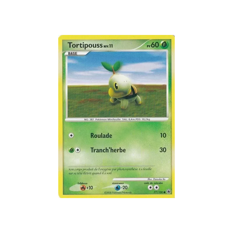 Tortipouss MD - 077/100