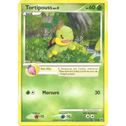 Tortipouss MD - 078/100