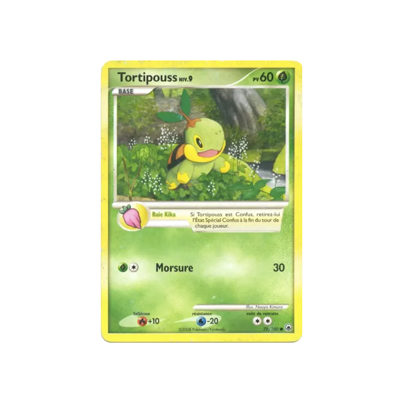 Tortipouss MD - 078/100