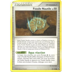Fossile Nautile MD - 091/100
