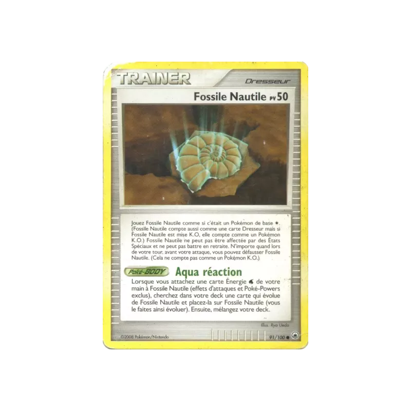 Fossile Nautile MD - 091/100