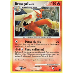 Brasegali GE - 001/106