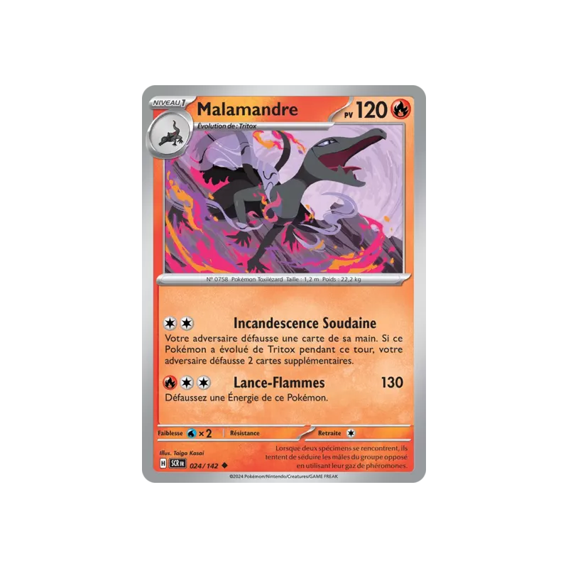 Malamandre SCR - 024/142