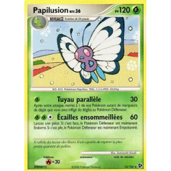 Papilusion GE - 014/106