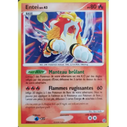 Entei SW - 004/132