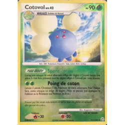 Cotovol SW - 011/132