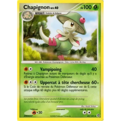 Chapignon SW - 045/132